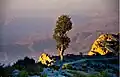 Gorakh Hill Station, Dadu