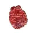 Official letter stamp of the Gorontalo Sultanate of