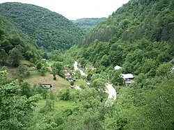 Govăjdia