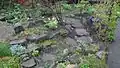 Rockery, April 2012