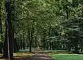 Great Cemetery of Riga park