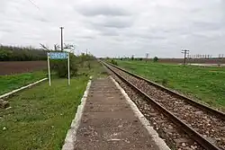 The Greci halt