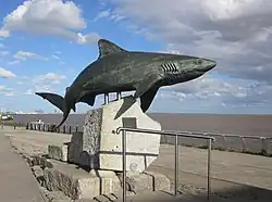Image 20Postural configuration of a Gray Reef Shark as it displays agonistic behaviour, in a sculpture (from Shark agonistic display)