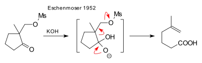 Fragmentation Eschenmoser 1952