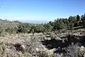 High elevation (8,100 feet (2,500&nbsp;m)) campground near summit.