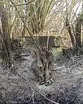 Hármasi or Keszler mill, concrete remains, Batyk