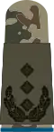 Aufschiebeschlaufe Feldanzug Heeresuniformträger Oberst Heereslogistiktruppe