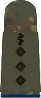Stabs­arzt (hum. medicine)