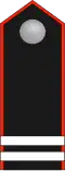 HJ Oberrottenführer Shoulder strap