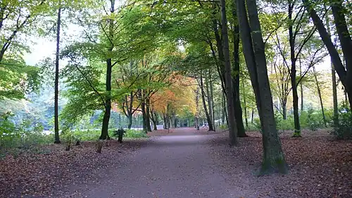 Pathway and meadows