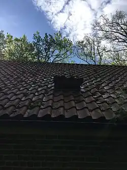Entrance for bats, fitted into the roof