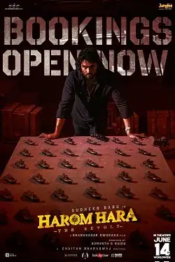 film poster