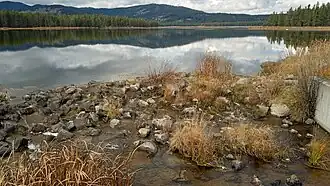 Stream
