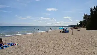 Shoreline