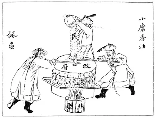 Grinding Sesame Oil