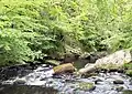 River Hebden
