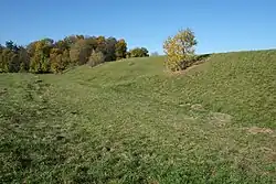 Rampart remains