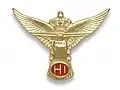 Helicopter Instructor