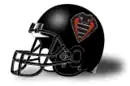Team helmet