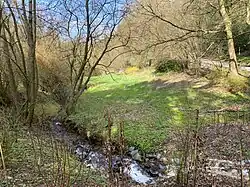 The river