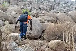 Hiking in Mora