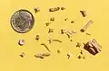 Holman Dig 08