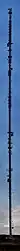 A panorama generated from 17 images