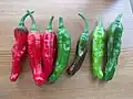 Shishito peppers shortly after being picked