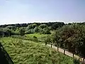 Horsenden Hill