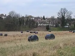 Howell Hill