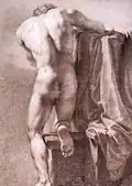 Naked torso from the back