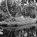 Hidden house (1967)