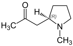 Chemical structure of hygrine