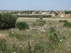Dayr Tarif remains