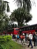 Thap Lan National Park, Thailand. IPS Biennial 2012