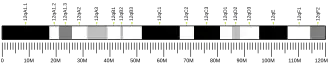 Chromosome 12 (mouse)