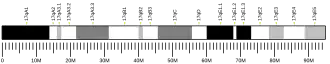 Chromosome 17 (mouse)