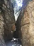 On the trail