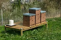 Three thin walled rectangular wooden boxes sitting outdoors in tight formation on a raised platform. The boxes measure about 40&nbsp;cm ×&nbsp;50&nbsp;cm (16&nbsp;in ×&nbsp;20&nbsp;in) and are 60&nbsp;cm (24&nbsp;in) tall with a wall thickness of about 19&nbsp;mm (0.75&nbsp;in). A gap at the bottom allows honey bees to enter and exit.
