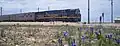 The Indian Pacific train at Cook