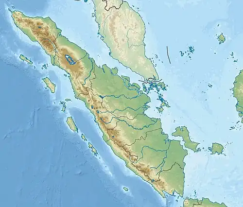 Azizi Mosque is located in Sumatra