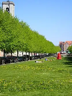Green area