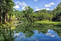Landscape