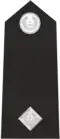 Insignia Of Assistant Superintendent (1 years' service)