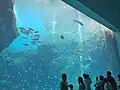 Hakkeijima Sea Paradise