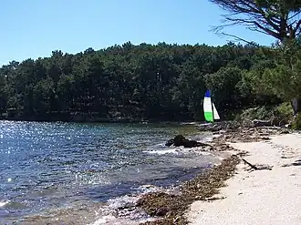 Beach of the island