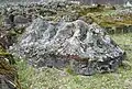 Isle of Arran