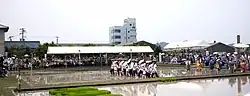 Rice Planting festival