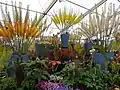 Jacques Amand's display in the Floral Marquee