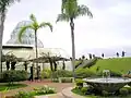 Garden with native flowers